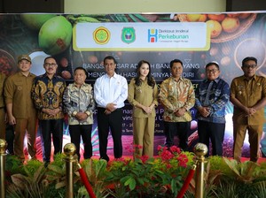 Dorong Komoditas Unggulan, Kementan Dukung Pertanian Kelapa di Maluku Utara
