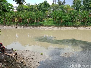 Viral Ikan-ikan di Sungai Jagir Surabaya Naik ke Permukaan