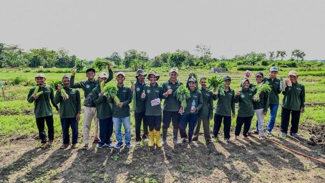 Lewat Inovasi, Pertamina Tanam Harapan ke Petani Desa Sobokerto