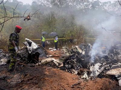 Kecelakaan Maut Pesawat Wisata Jatuh, Seluruh Penumpang Tewas