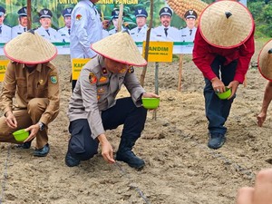 Dukung Swasembada Pangan, Polres Inhu Tanam Jagung di Lahan 10 Hektare