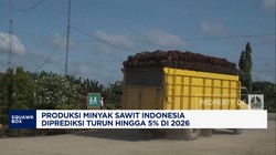 Video: Lahan Bermasalah, Produksi Minyak Sawit 2026 Diramal Turun 5%