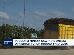 Video: Lahan Bermasalah, Produksi Minyak Sawit 2026 Diramal Turun 5%