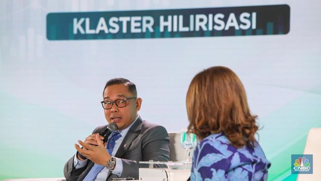 Wamen Investasi Buka-Bukaan Alasan Pemerintah Dorong Hilirisasi