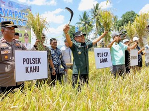 Bone Jadi Penghasil Beras Terbesar ke-5 di Indonesia, Bupati Apresiasi Petani