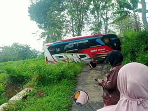 Detik-detik Bus Peziarah Nyasar Masuk Hutan gegara Google Maps