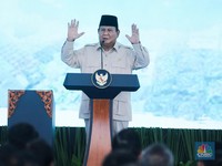Prabowo Sudah Cabut Izin 28 Perusahaan Pemicu Bencana, What's Next?