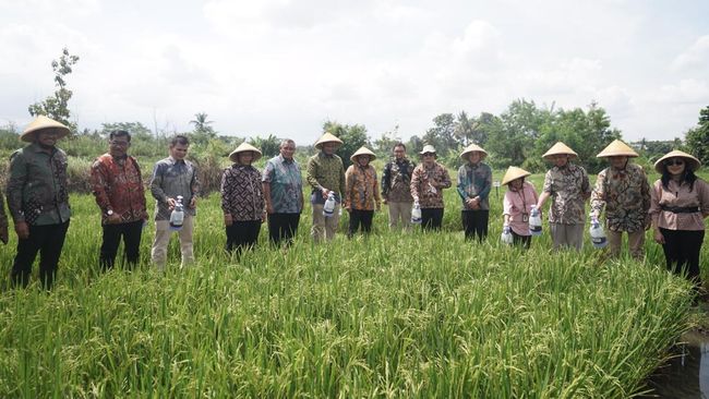 Dorong Swasembada Pangan, PTBA Buat Pupuk dari Batu Bara