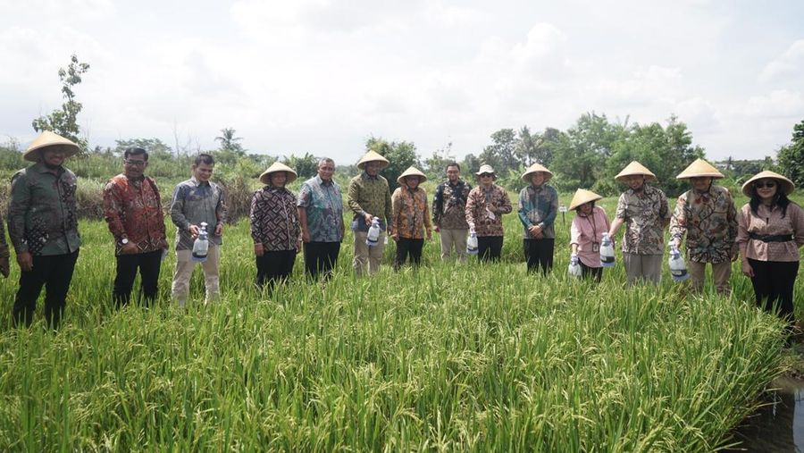 PT Bukit Asam Tbk (PTBA)