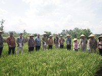 Dorong Swasembada Pangan, PTBA Buat Pupuk dari Batu Bara