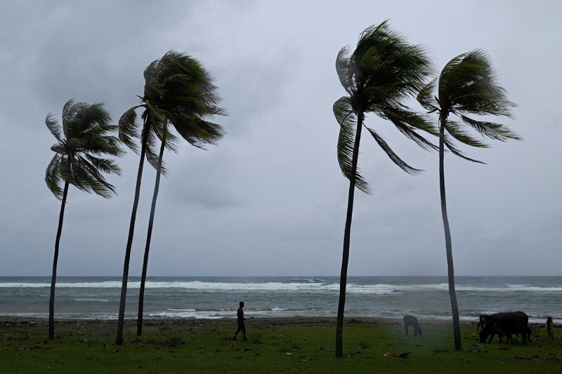 STORM-MELISSA/CUBA A man herds cattle along the coastline ahead of Hurricane Melissa's landfall, in Santiago de Cuba, Cuba, October 28, 2025. REUTERS/Norlys Perez     TPX IMAGES OF THE DAY