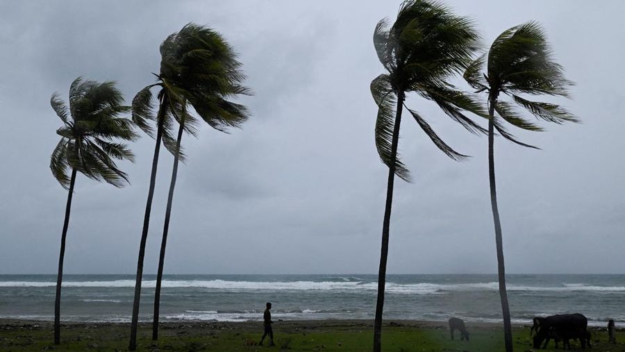 STORM-MELISSA/CUBA A man herds cattle along the coastline ahead of Hurricane Melissa's landfall, in Santiago de Cuba, Cuba, October 28, 2025. REUTERS/Norlys Perez     TPX IMAGES OF THE DAY