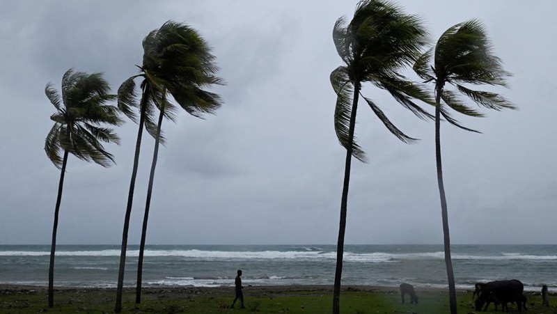 STORM-MELISSA/CUBA A man herds cattle along the coastline ahead of Hurricane Melissa's landfall, in Santiago de Cuba, Cuba, October 28, 2025. REUTERS/Norlys Perez     TPX IMAGES OF THE DAY