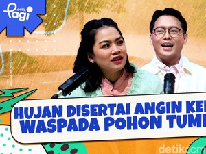 Hujan Disertai Angin Kencang, Waspada Pohon Tumbang!