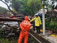 Waspada! Musibah Pohon Tumbang Landa Jakarta, 1 Orang Tewas