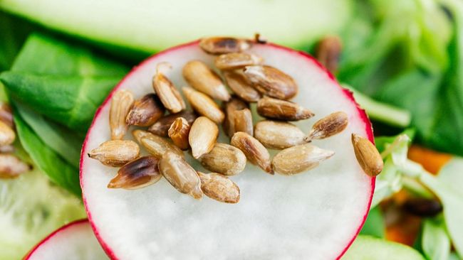 9 Manfaat Kacang Pinus: Bisa Turunkan Gula Darah dan Jaga Jantung