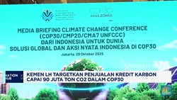 Video: KLH Bidik Penjualan Kredit Karbon 90 Juta Ton CO2 di COP30