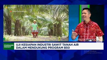 Video: Pengusaha:Sengketa Lahan Sawit Jangan Korbankan Petani-Industri