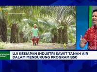 Video: Pengusaha:Sengketa Lahan Sawit Jangan Korbankan Petani-Industri