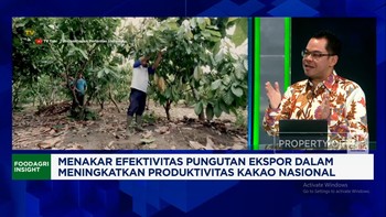 Video: Petani Kakao Resah, Serangan Hama OPT Bikin Produksi Anjlok 80%