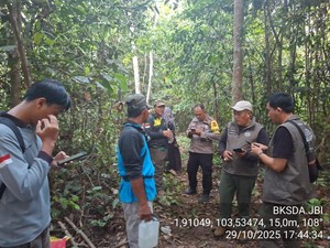 Petani di Jambi Diserang Beruang Madu, Ini Kata BKSDA