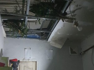 Pohon Keramat Tumbang Timpa Rumah di Bogor, Sekeluarga Mengungsi