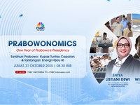 Setahun Pemerintahan Prabowo, Begini Capaian Energi Hijau RI