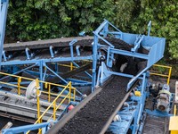 PTBA Bukukan Laba Rp 1,59 Triliun pada Kuartal III-2025