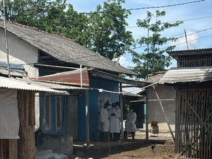 Bupati Serang Akan Ganti Rugi Ternak Dimusnahkan di Area Radiasi Cikande