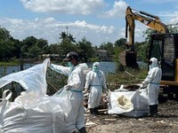 Update Kasus Radioaktif Cikande: Ada 22 Pabrik Sudah Didekontaminasi