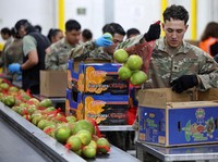 Potret Garda Nasional Dikerahkan di Tengah Krisis Pangan Los Angeles