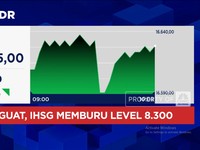 Video: The Fed Pangkas Bunga, IHSG Menguat Tapi Rupiah Malah Loyo
