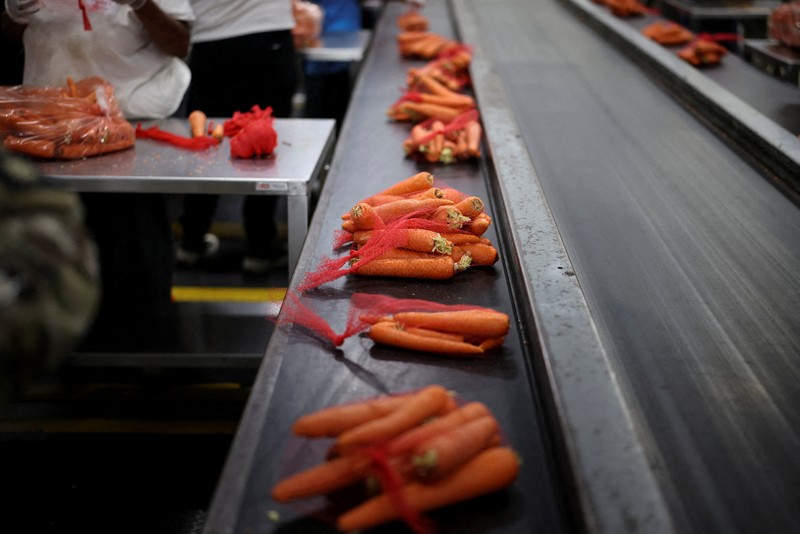 Seorang anggota Garda Nasional mengemas makanan di fasilitas Bank Makanan Regional Los Angeles, karena hampir 42 juta warga Amerika menghadapi potensi hilangnya manfaat Program Bantuan Nutrisi Tambahan (SNAP), yang dikenal sebagai kupon makanan, karena penutupan pemerintah AS terlama kedua, di Los Angeles, California, AS, 29 Oktober 2025. Seorang anggota Garda Nasional mengemas makanan di fasilitas Bank Makanan Regional Los Angeles, karena hampir 42 juta warga Amerika menghadapi potensi hilangnya manfaat Program Bantuan Nutrisi Tambahan (SNAP), yang dikenal sebagai kupon makanan, karena penutupan pemerintah AS terlama kedua, di Los Angeles, California, AS, 29 Oktober 2025. (REUTERS/Daniel Cole)
