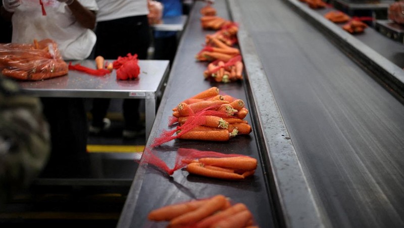 Seorang anggota Garda Nasional mengemas makanan di fasilitas Bank Makanan Regional Los Angeles, karena hampir 42 juta warga Amerika menghadapi potensi hilangnya manfaat Program Bantuan Nutrisi Tambahan (SNAP), yang dikenal sebagai kupon makanan, karena penutupan pemerintah AS terlama kedua, di Los Angeles, California, AS, 29 Oktober 2025. Seorang anggota Garda Nasional mengemas makanan di fasilitas Bank Makanan Regional Los Angeles, karena hampir 42 juta warga Amerika menghadapi potensi hilangnya manfaat Program Bantuan Nutrisi Tambahan (SNAP), yang dikenal sebagai kupon makanan, karena penutupan pemerintah AS terlama kedua, di Los Angeles, California, AS, 29 Oktober 2025. (REUTERS/Daniel Cole)