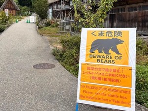 Jepang Darurat Beruang, AS Ingatkan Warganya untuk Waspada Ekstra