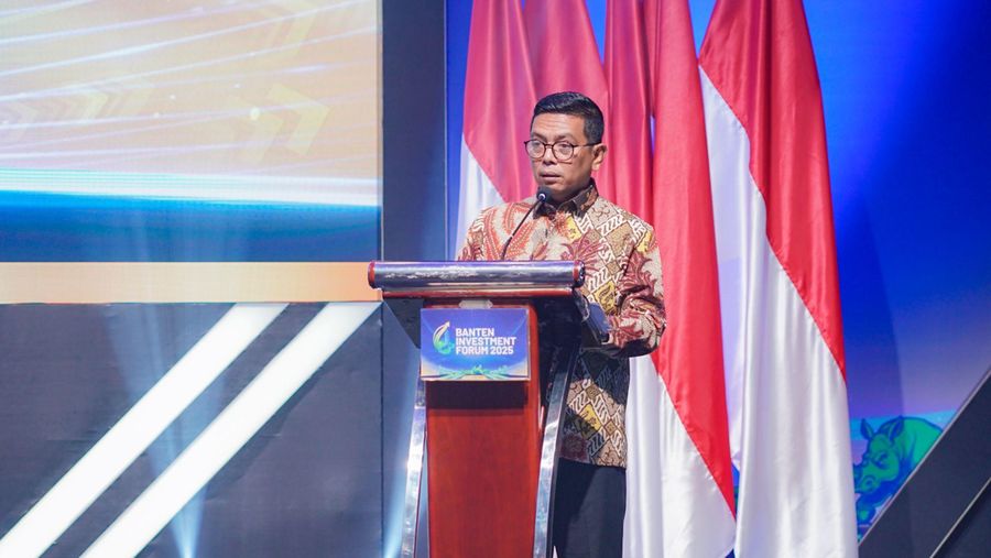 Gubernur Banten, Andra Soni