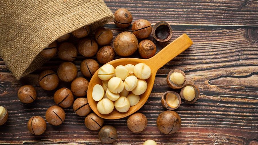 Macadamia. Macadamia. (Dok. Freepik)