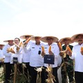 Perkuat Ketahanan Pangan, Kemenimipas Panen Jagung di Sidoarjo
