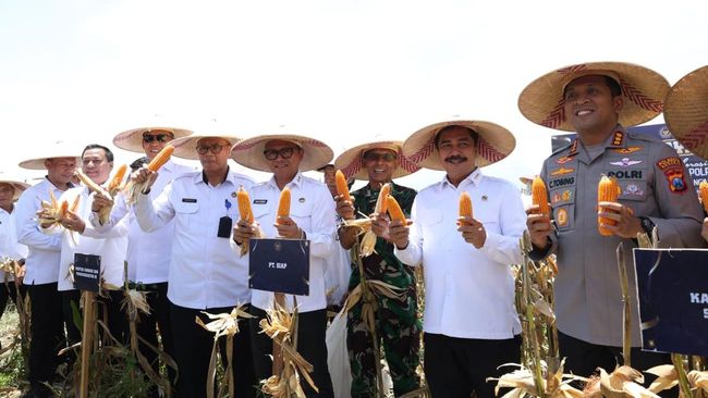 Perkuat Ketahanan Pangan, Kemenimipas Panen Jagung di Sidoarjo
