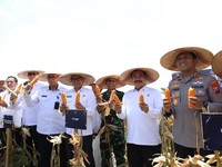 Perkuat Ketahanan Pangan, Kemenimipas Panen Jagung di Sidoarjo