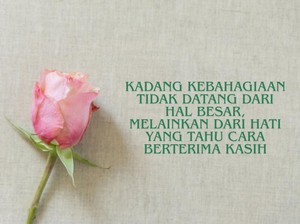 50 Kata-kata Bijak Hari Ini Terbaru, Seru, dan Penuh Arti