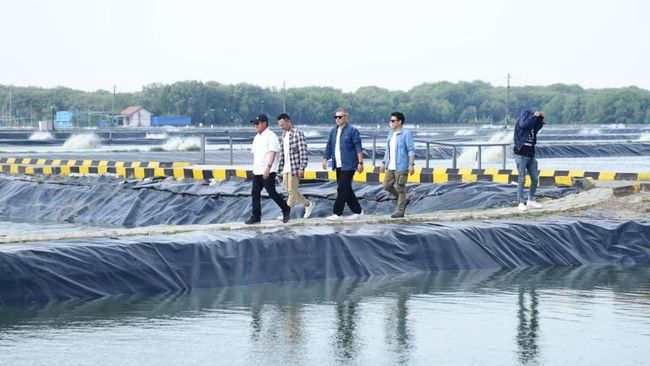 Dorong Minat Budidaya Ikan, Menteri Trenggono Ajak Raffi Cs ke BINS