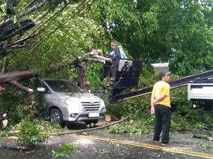 Cuaca Ekstrem Terjang Malang, 24 Bencana Terjadi dalam 4 Hari