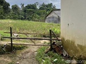 Keluarga Balita Korban Pencabulan Diteror, Akses ke Rumah Dirusak-Dipagar