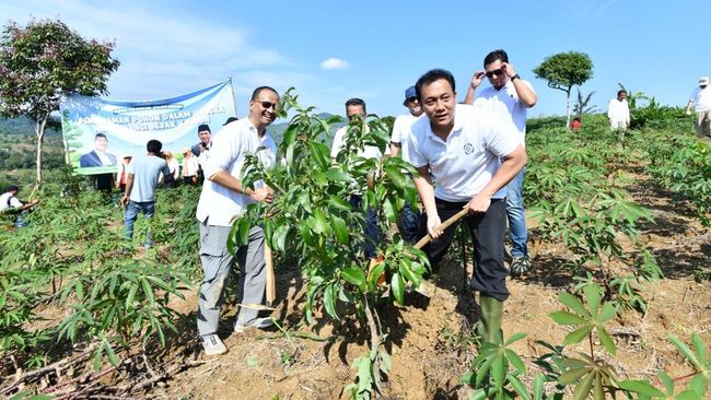 Hijaukan Hulu: Pertamina dan KLH Tanam Pohon Produktif di Bogor
