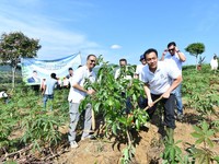 Hijaukan Hulu: Pertamina dan KLH Tanam Pohon Produktif di Bogor