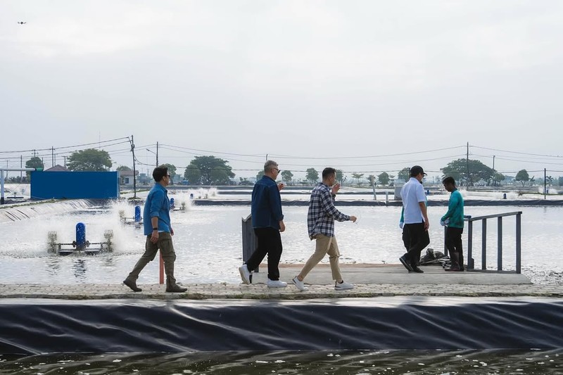 Menteri Kelautan dan Perikanan, Sakti Wahyu Trenggono, mengajak sejumlah figur publik ternama diantaranya Raffi Ahmad, Ariel Noah, Gading Marten, dan Desta untuk meninjau lokasi modeling budidaya ikan nila salin (BINS) di Karawang, Jawa Barat, Minggu (2/11/2025). (Instagram/raffinagita1717)