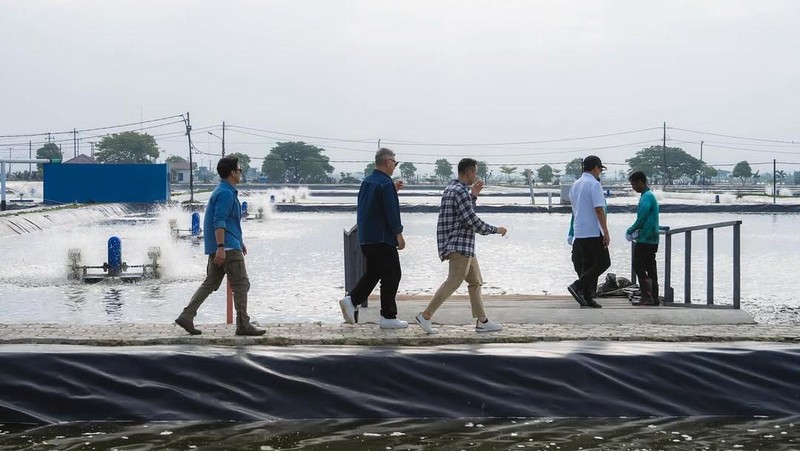 Menteri Kelautan dan Perikanan, Sakti Wahyu Trenggono, mengajak sejumlah figur publik ternama diantaranya Raffi Ahmad, Ariel Noah, Gading Marten, dan Desta untuk meninjau lokasi modeling budidaya ikan nila salin (BINS) di Karawang, Jawa Barat, Minggu (2/11/2025). (Instagram/raffinagita1717)
