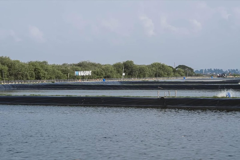 Menteri Kelautan dan Perikanan, Sakti Wahyu Trenggono, mengajak sejumlah figur publik ternama diantaranya Raffi Ahmad, Ariel Noah, Gading Marten, dan Desta untuk meninjau lokasi modeling budidaya ikan nila salin (BINS) di Karawang, Jawa Barat, Minggu (2/11/2025). (Instagram/raffinagita1717)