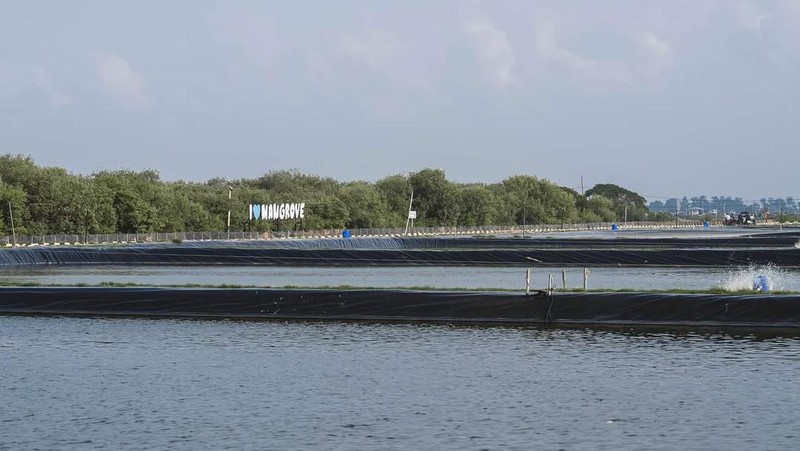 Menteri Kelautan dan Perikanan, Sakti Wahyu Trenggono, mengajak sejumlah figur publik ternama diantaranya Raffi Ahmad, Ariel Noah, Gading Marten, dan Desta untuk meninjau lokasi modeling budidaya ikan nila salin (BINS) di Karawang, Jawa Barat, Minggu (2/11/2025). (Instagram/raffinagita1717)